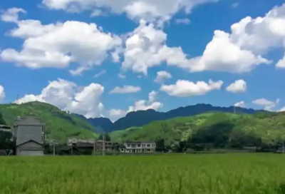 ​表示自己内心伤感的语录