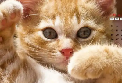 ​合适发语句的經典心情句子(适合发朋友圈的经典心情语录)