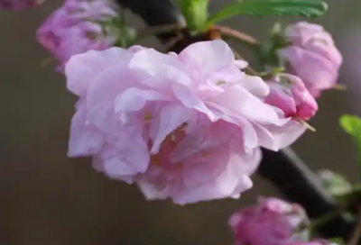 ​幽默有趣的爱情语录 幽默的爱情打油诗