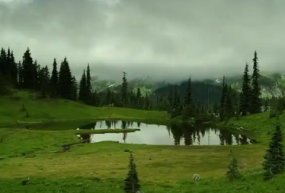 ​心灵鸡汤女人经典语录(心灵鸡汤发朋友圈正能量)