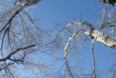 ​亲情淡了的经典语录(亲情如此淡薄让人心寒的句子)