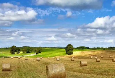 ​坚强而又心酸的伤感语录  放手也是一种解脱