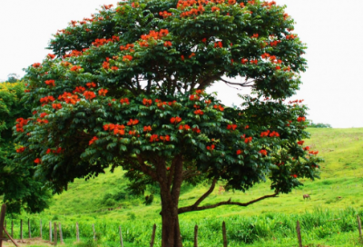 ​佛家那些激励人心的经典语录(书中激励人心的经典语录)