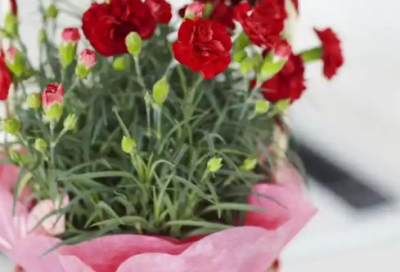 ​谈判官经典语录55句