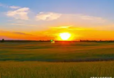 ​2026年伤心情感语录81句