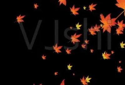 ​开心激动的心情语录 开心不开心的心情语录