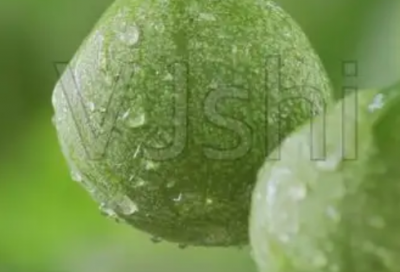 ​2026经典语录伤感 经典语录