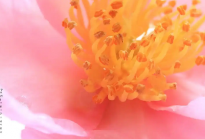 ​爱心公益心灵鸡汤经典语录