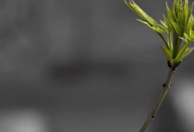 ​2026年一句话伤感语录89句