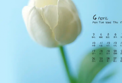 ​2026年伤感经典语录95句