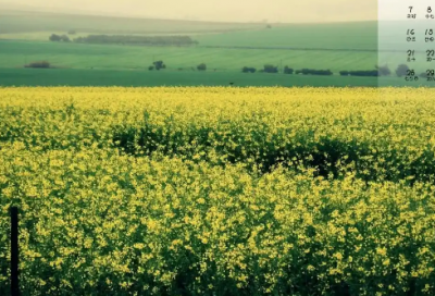 ​各种伤感语录92句