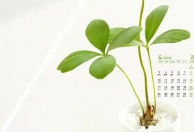 ​孤芳不自赏经典语录72句