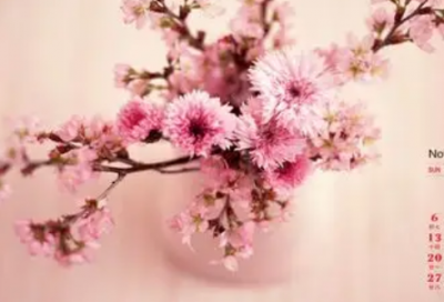 ​情世间话甜美爱情语录 甜美语录