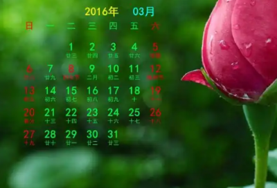 ​情感语录伤感扎心的说说