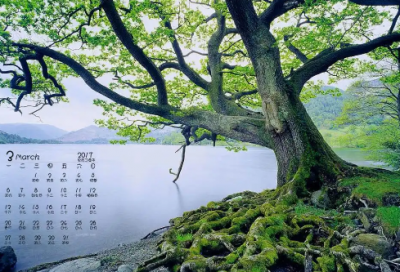 ​2026年人只有靠自己的经典语录