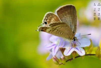 ​夫妻情感语录推荐文案