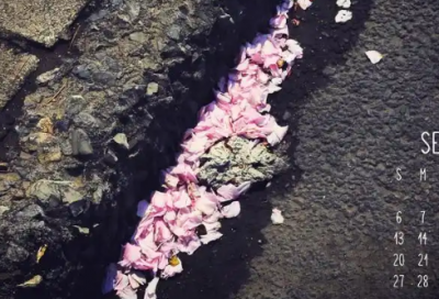 ​心灵鸡汤的爱情经典语录