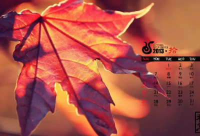 ​只要你没有站在顶点励志语录(世界如一个山坡的句子)