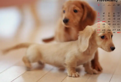 ​美好的早安心语语录