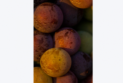 ​带六的网名谐音梗女生