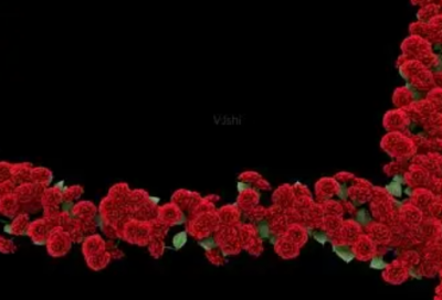 ​带山月的昵称女生网名