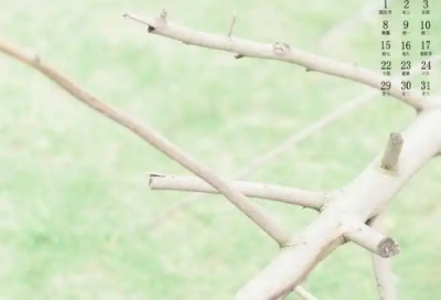 ​女生网名带战字的