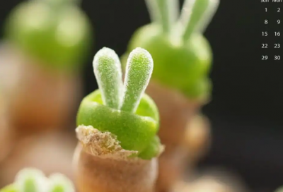 ​女生带英字的网名唯美