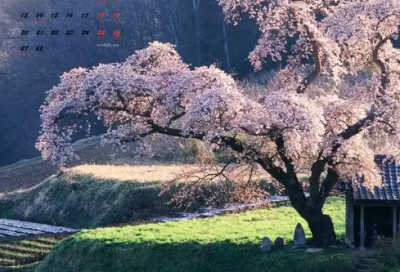 ​带千狐的网名女生