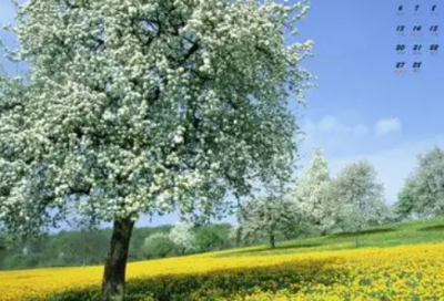 ​带卢熊的谐音网名女生