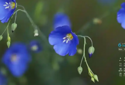 ​带安的网名俩字大全女生