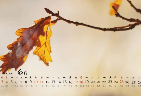 1768635285201355.png image.png