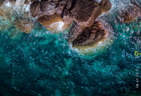 1768637107195315.png image.png