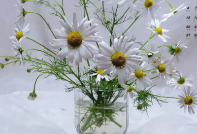 ​关于之道的名言名句 关于交友之道的名言名句