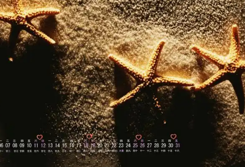 1768637770854892.png image.png