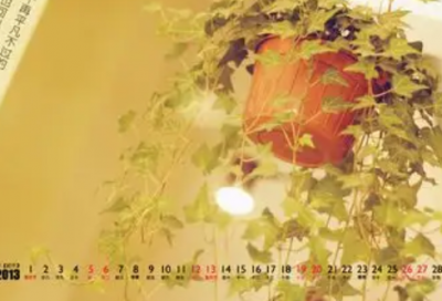 ​关于庄子名言名句