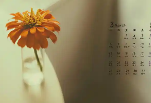 1768639924719638.png image.png