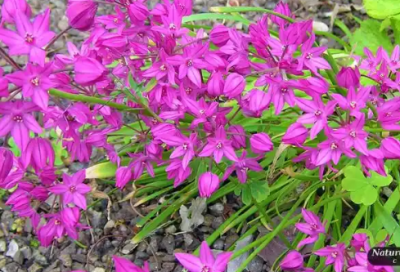 ​理解的名言97句