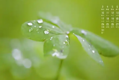 ​有关坚持不懈的名言89句