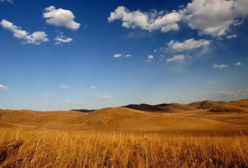 1768643402381868.png image.png