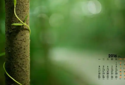 ​换角度看问题的名言92句