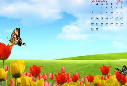 1768711432371607.png image.png