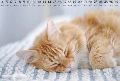 ​树立正确人生观名言92句