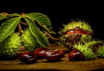 ​早安心语励志名人名言(早安分享励志的名人名言)