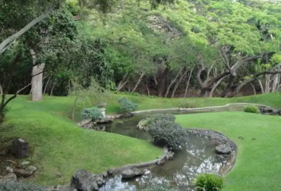 ​女人要独立的名言 女人要独立的句子