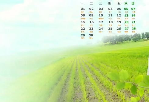 1768713586244840.png image.png