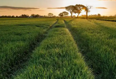 ​学习方面的名人名言98句