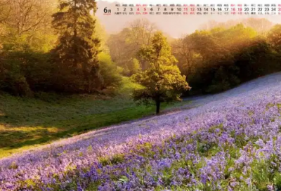 ​成功创新成就的名言83句