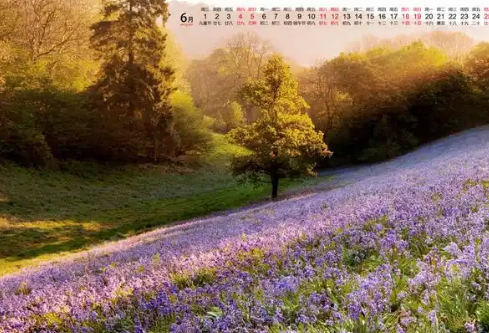 1768715408420944.png image.png