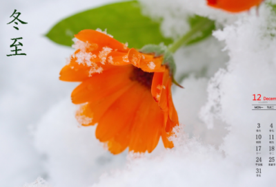 ​离别英文名言