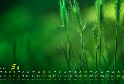 ​老子名言名句大全100句